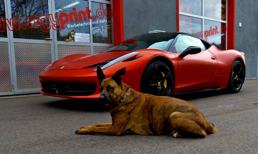 Logo Platinum Wrapping Film