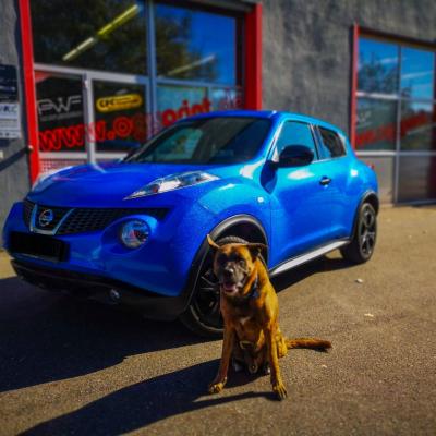 Nissan Blauglitter